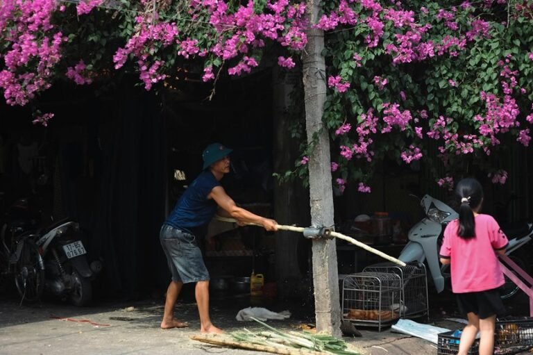 market activity numbers listed