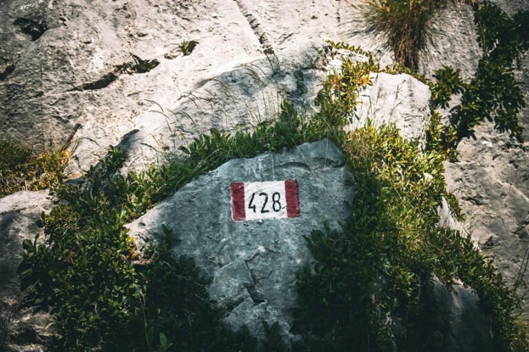 sector direction numerical codes