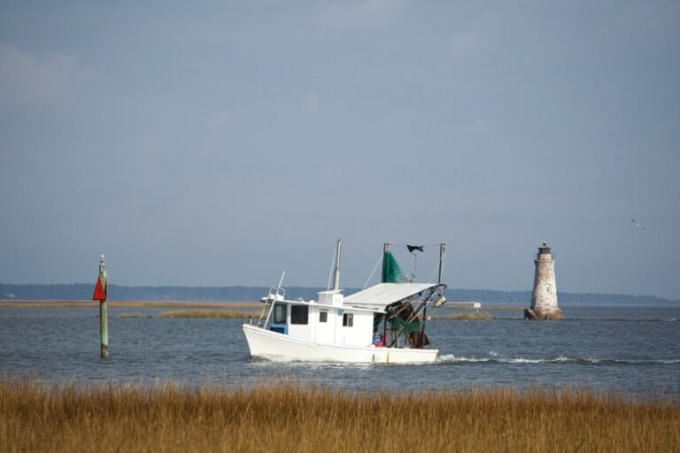 sector momentum analysis guide