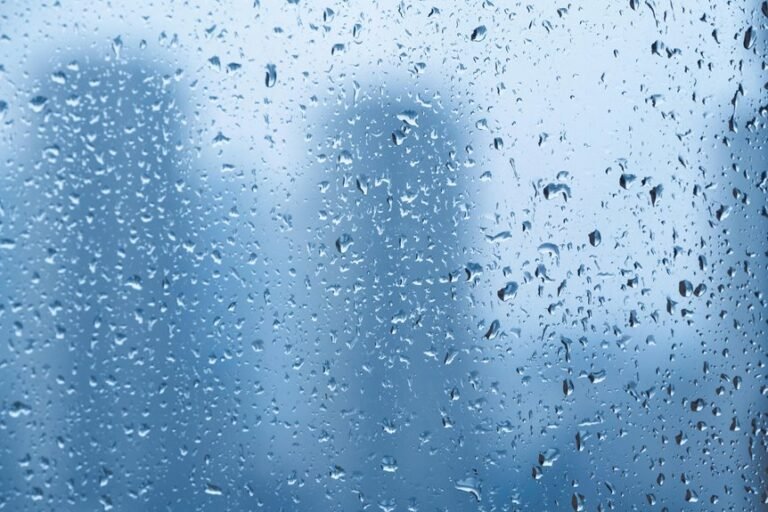 competitive digital outlook forecasted metrics